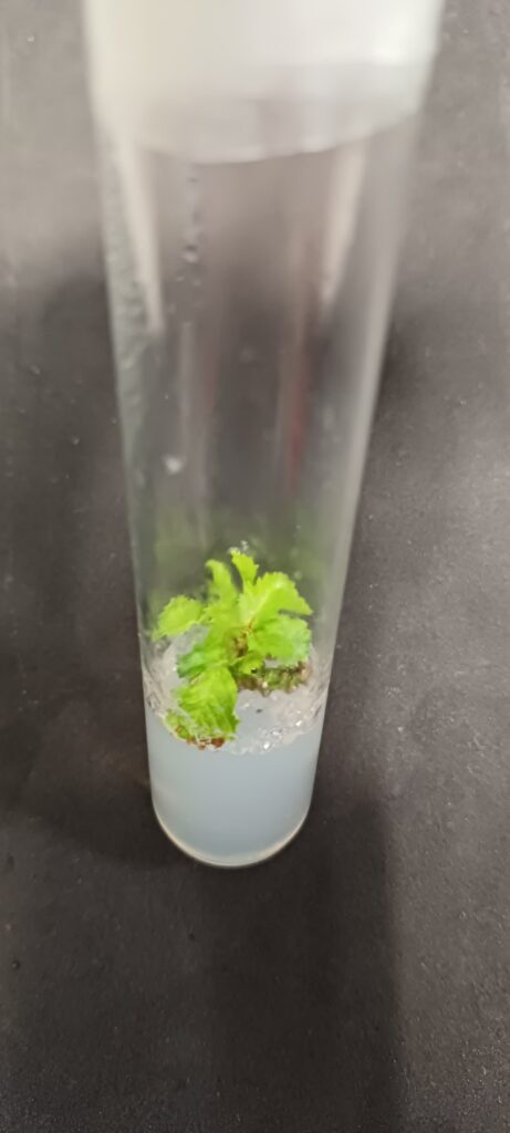 whatsapp image 2025 10 23 at 16.11.14