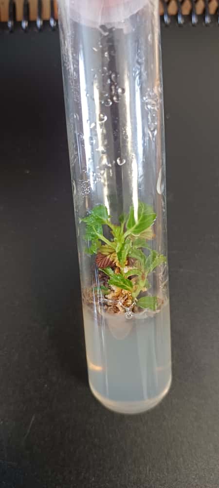 whatsapp image 2025 10 23 at 16.11.15 (1)