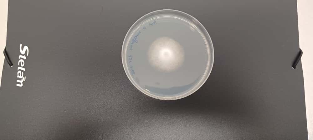 whatsapp image 2025 10 23 at 16.11.15 (3)