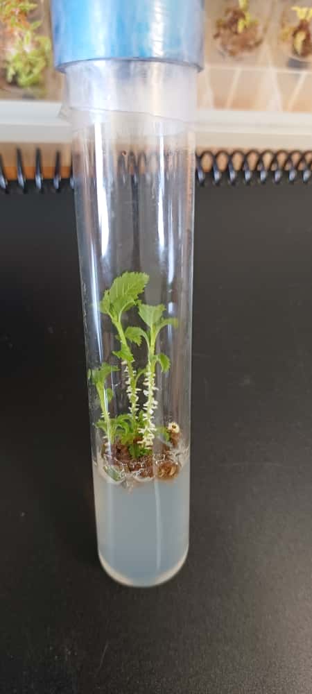 whatsapp image 2025 10 23 at 16.11.15 (7)