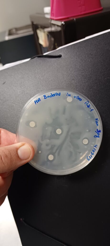 whatsapp image 2025 10 23 at 16.11.15 (8)