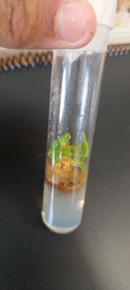 whatsapp image 2025 10 23 at 16.11.16 (1)