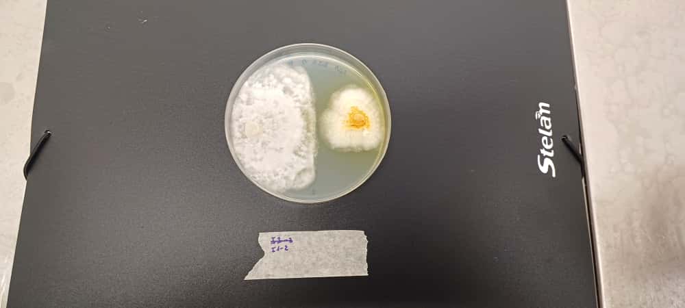 whatsapp image 2025 10 23 at 16.11.16 (6)