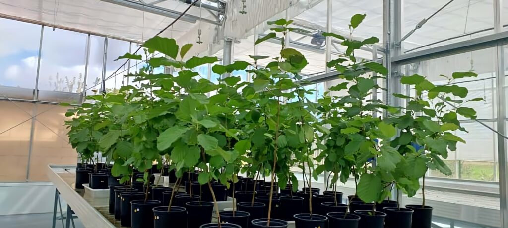 Upscalemedia Transformed 1024x461