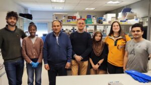 Equipo GIR Global Forest (Marzo 2025)